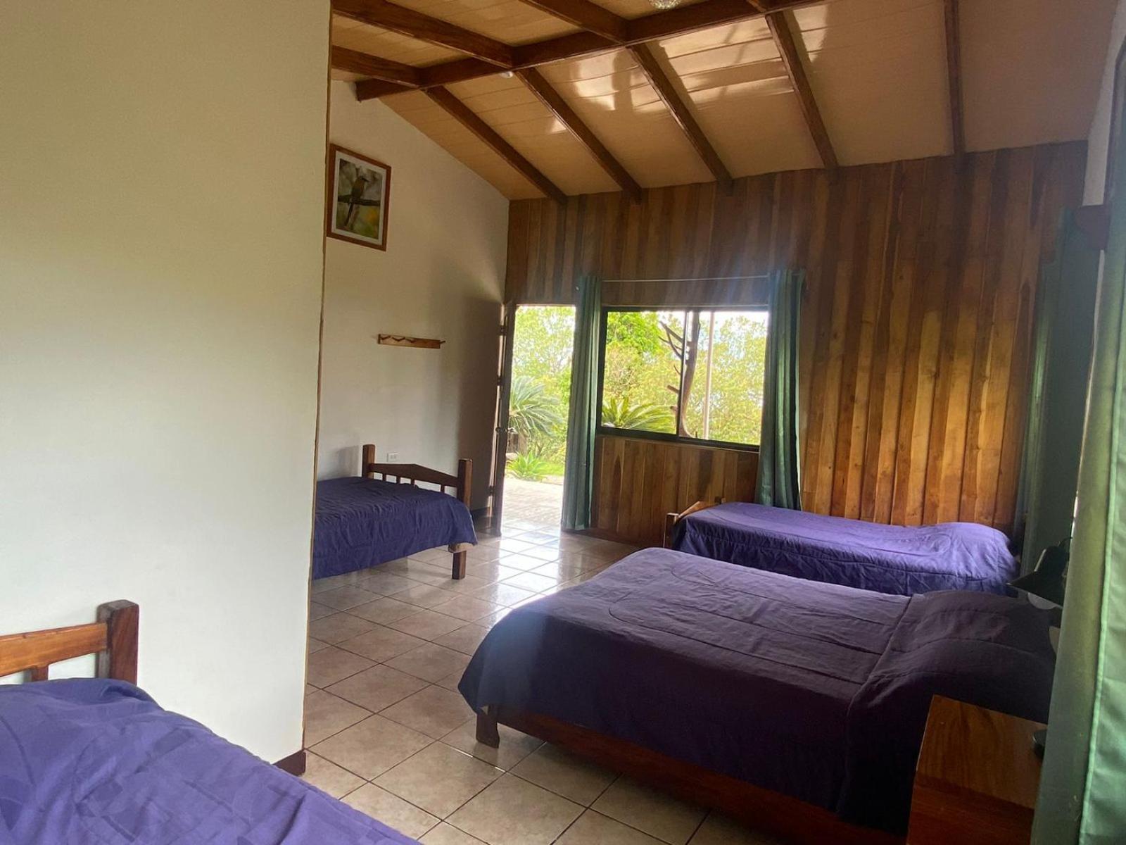 Cabinas Capulin & Farm Monteverde Esterno foto